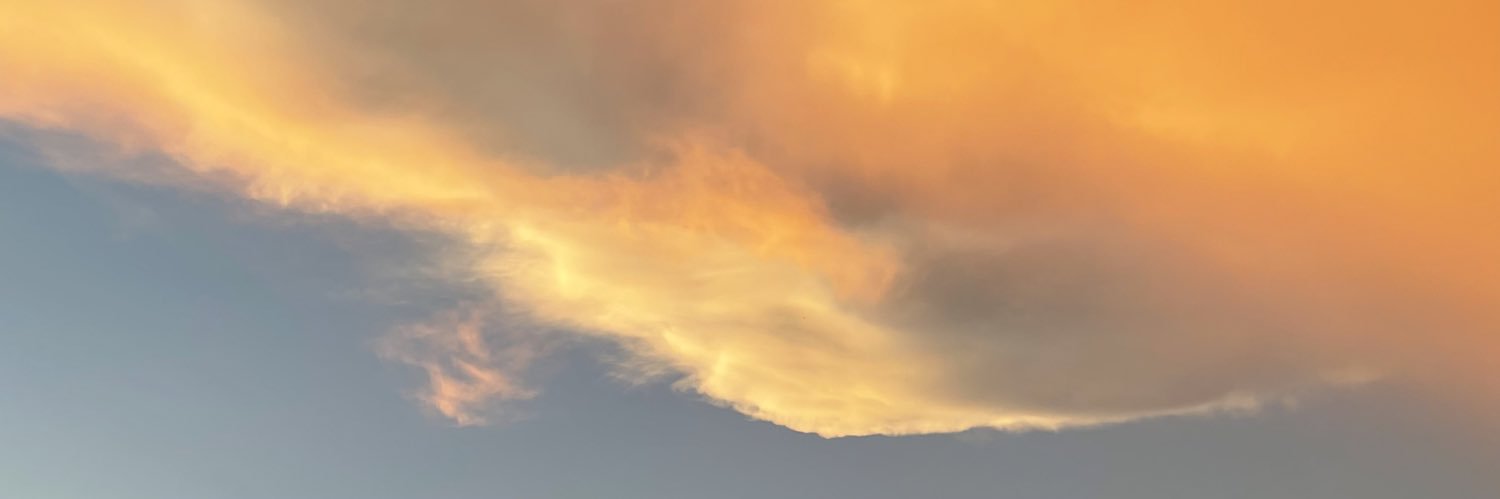 MikaAlberto3's profile banner image