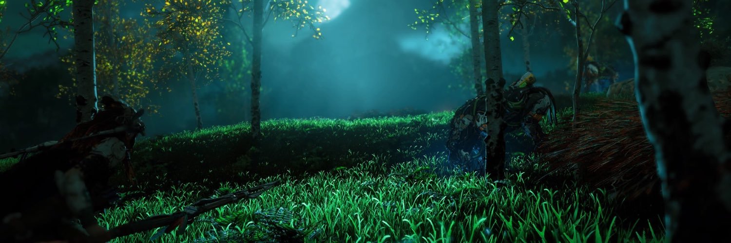 NovemberWiskey's profile banner image