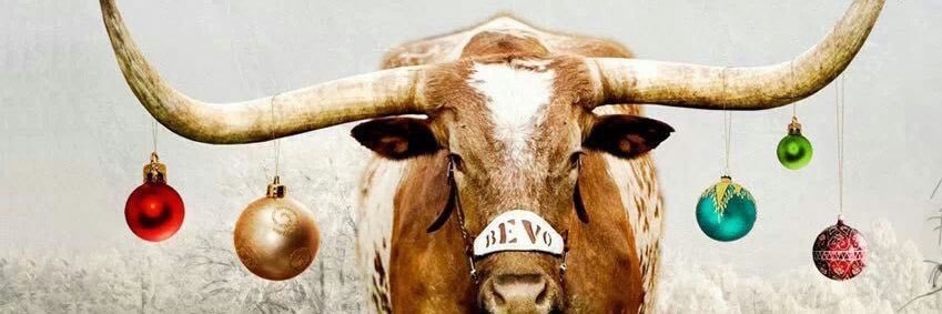 txsbigeasy's profile banner image