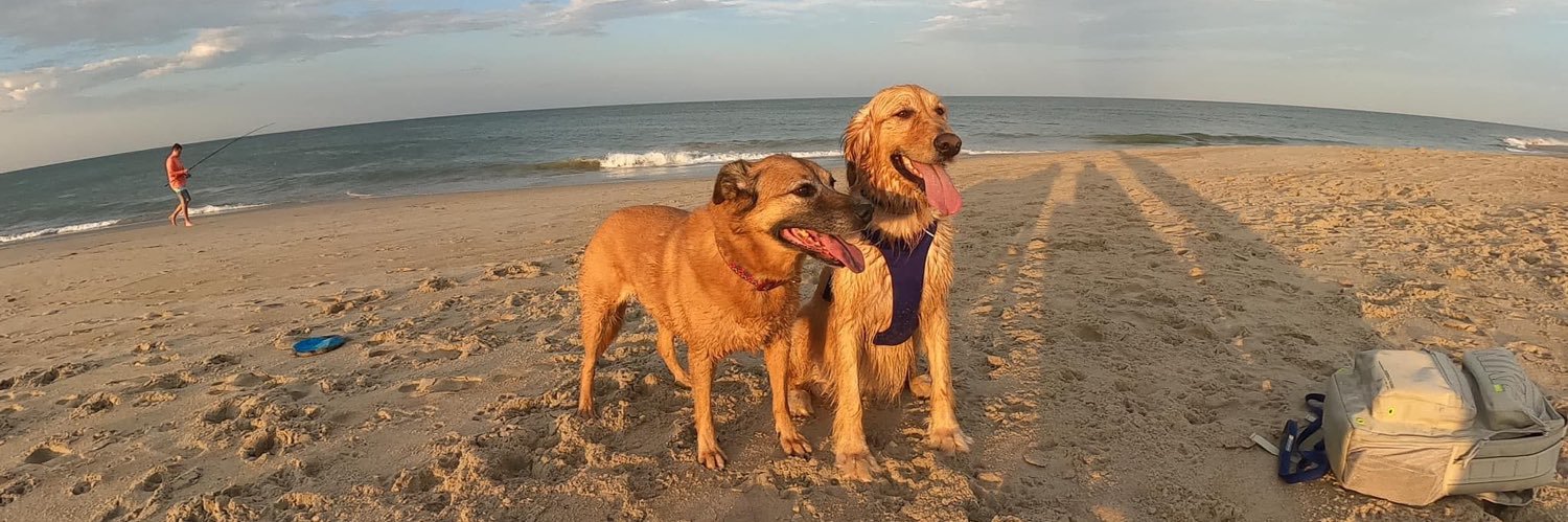 Tigh Savercool banner