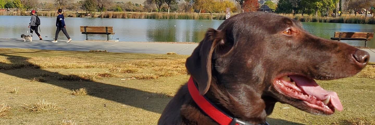 Seriouslee_84's profile banner image