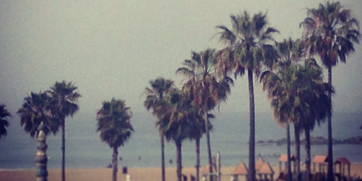 thereeljc's profile banner image