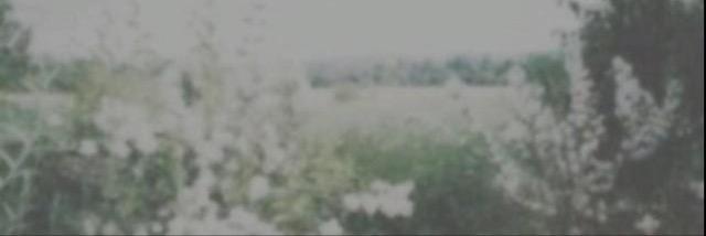 mgcftcliifford's profile banner image