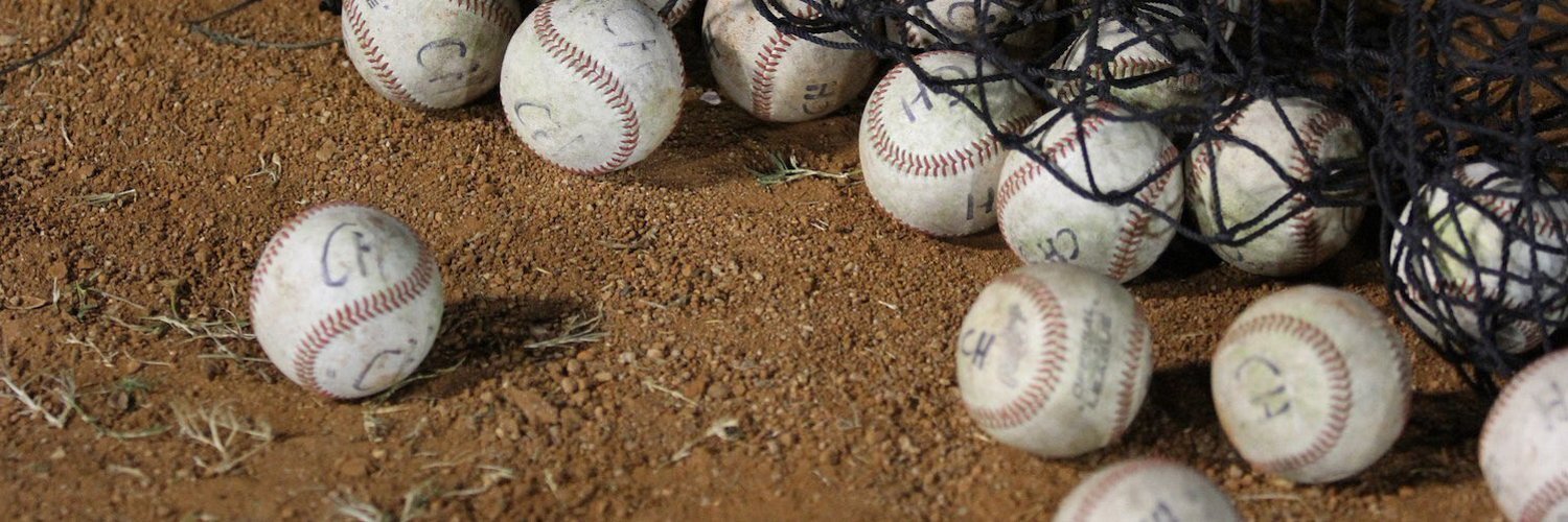 ベースボールキング⚾🥎 banner