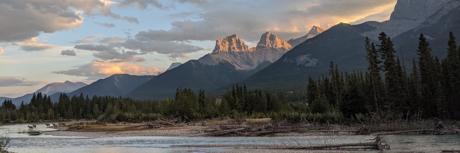 Rowan Cockett 🦋 banner