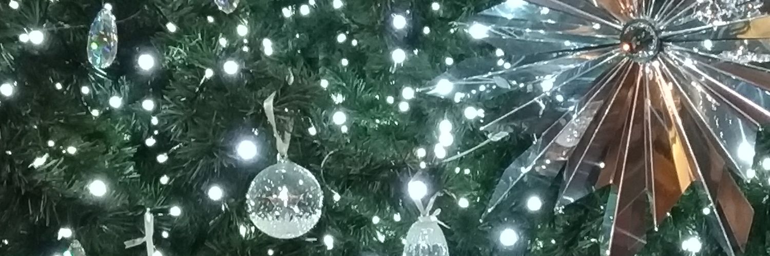 RiccardoModesti's profile banner image