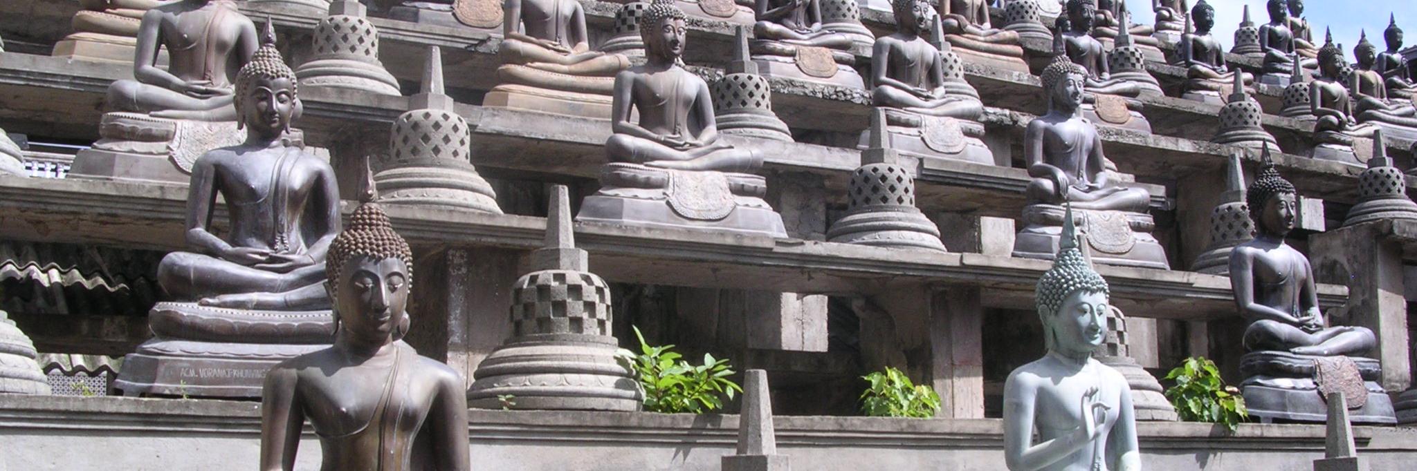 Zitasan's profile banner image