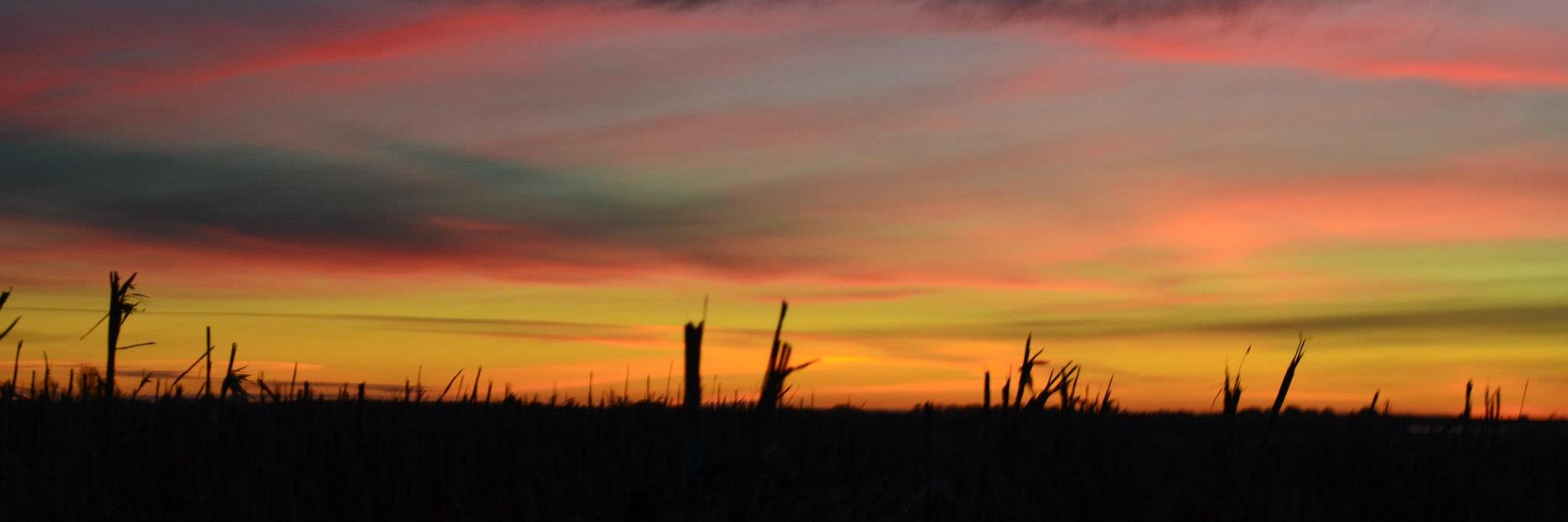 waltylb's profile banner image