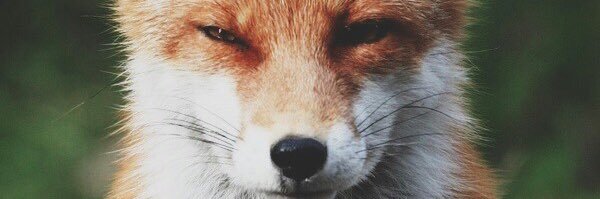 evrnest's profile banner image