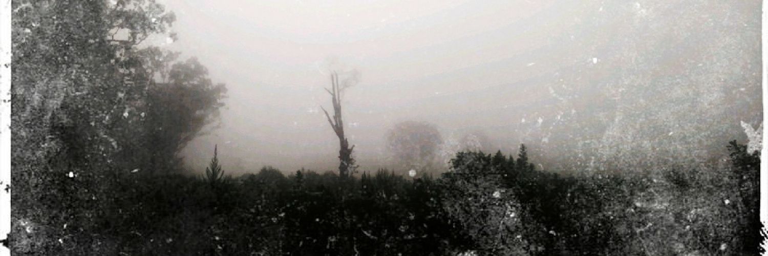 Chuckaluckaduck's profile banner image