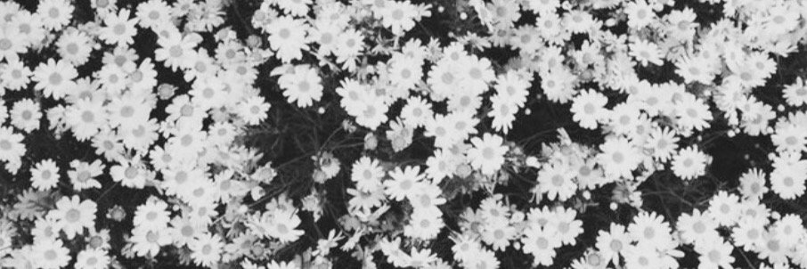 madstiles's profile banner image