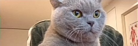 S3eeD 🇦🇪 banner