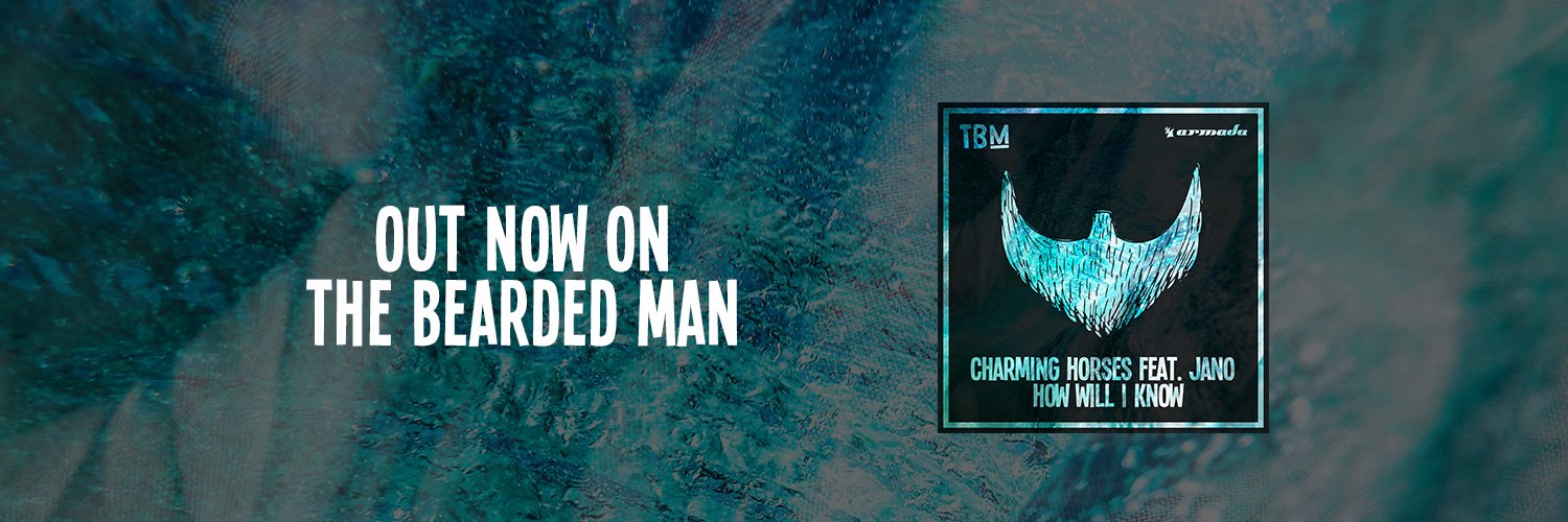 The Bearded Man banner