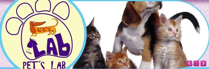 PetsLab_antof's profile banner image