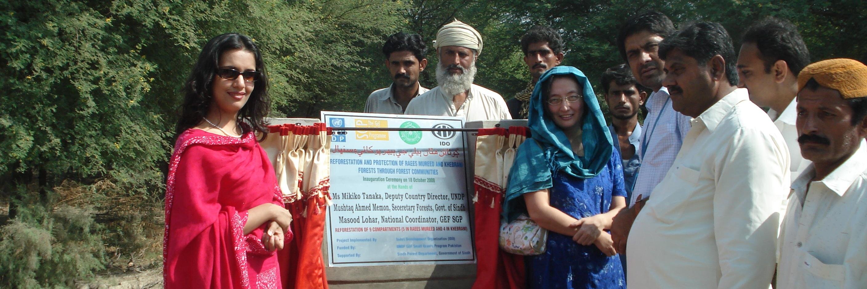Sindforestwatch's profile banner image