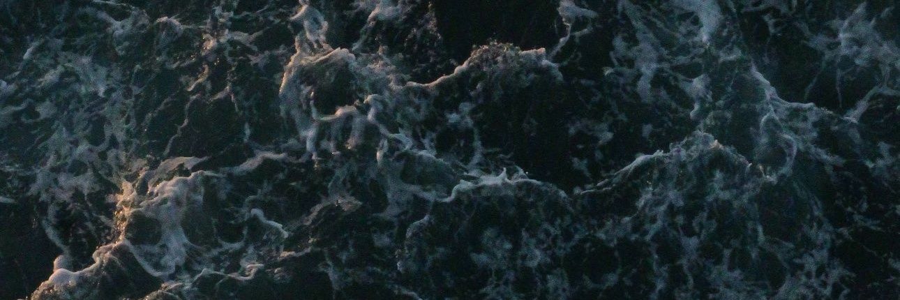 PABLO banner