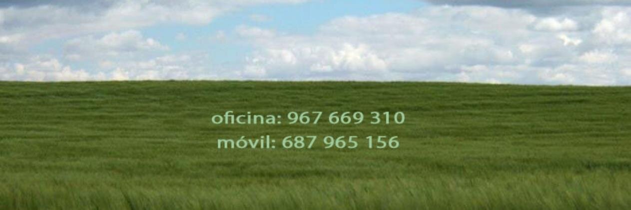 proyingAB's profile banner image