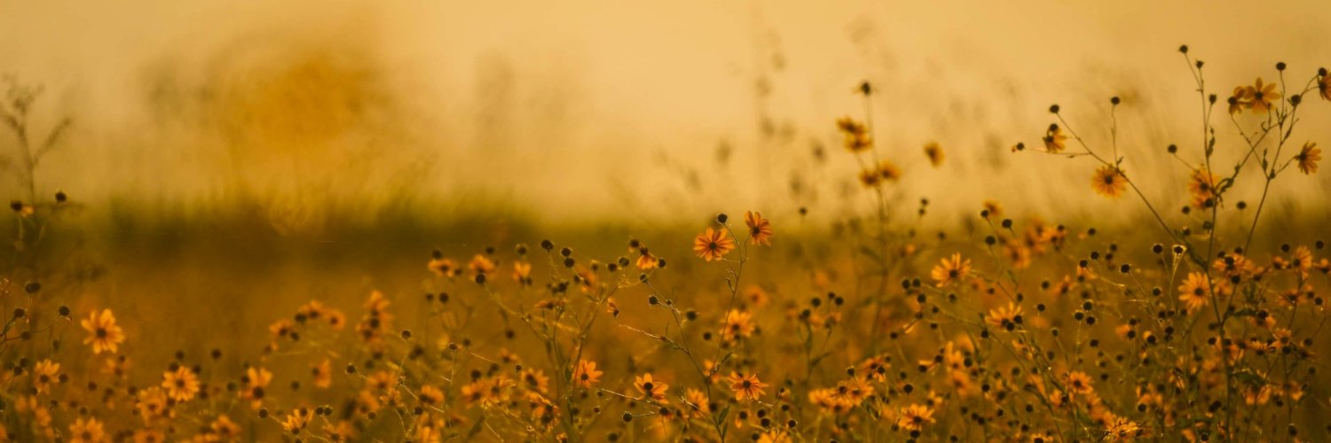 jacoblangston's profile banner image