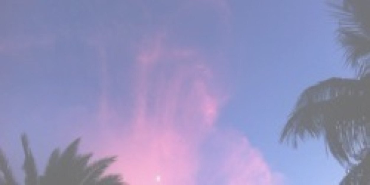 michospgdr's profile banner image