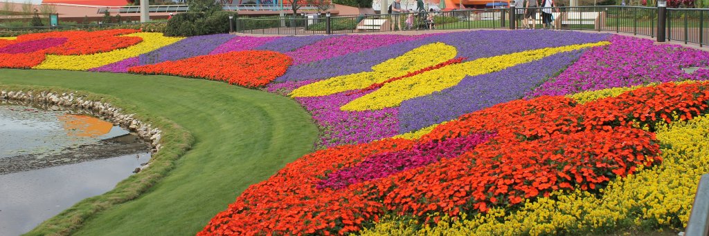 WDWTPN's profile banner image