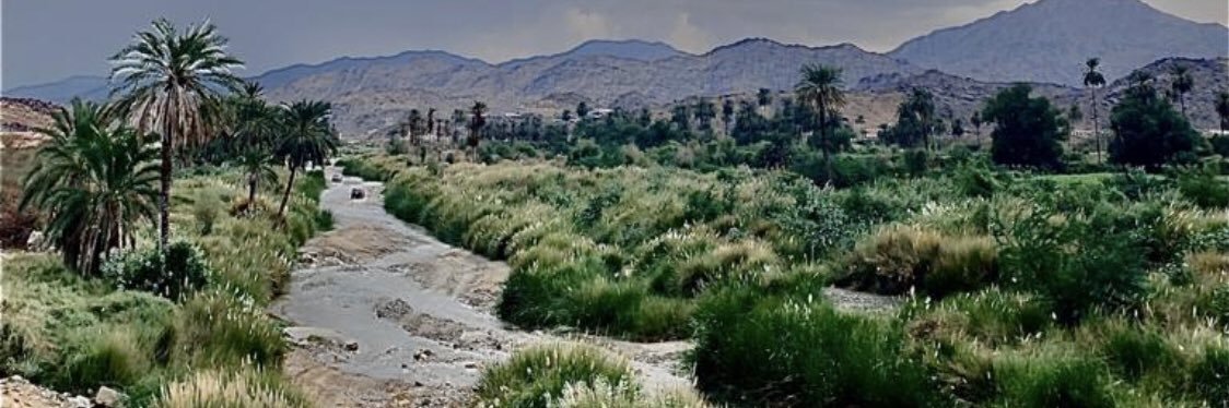 سعد القرني banner