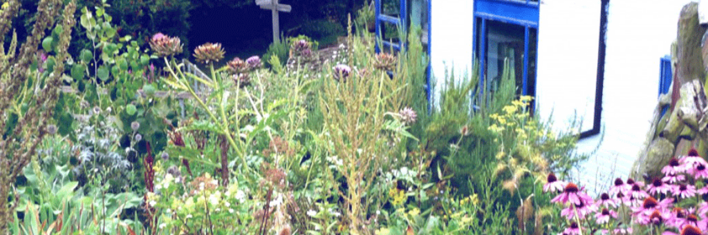 Friends of Gillespie banner