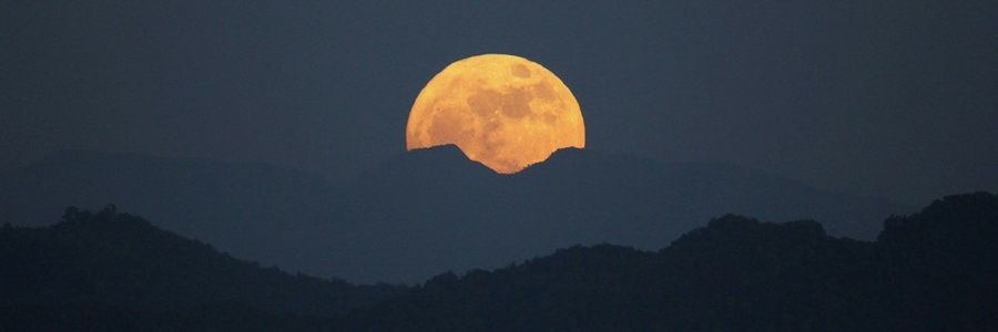 NileshHeda's profile banner image