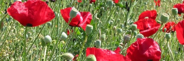 FayeDunford Profile Banner