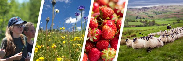 LEAF_Farming Profile Banner