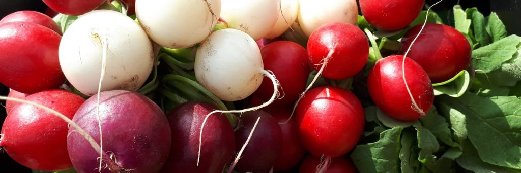 R. Noone & Son 🧡 banner