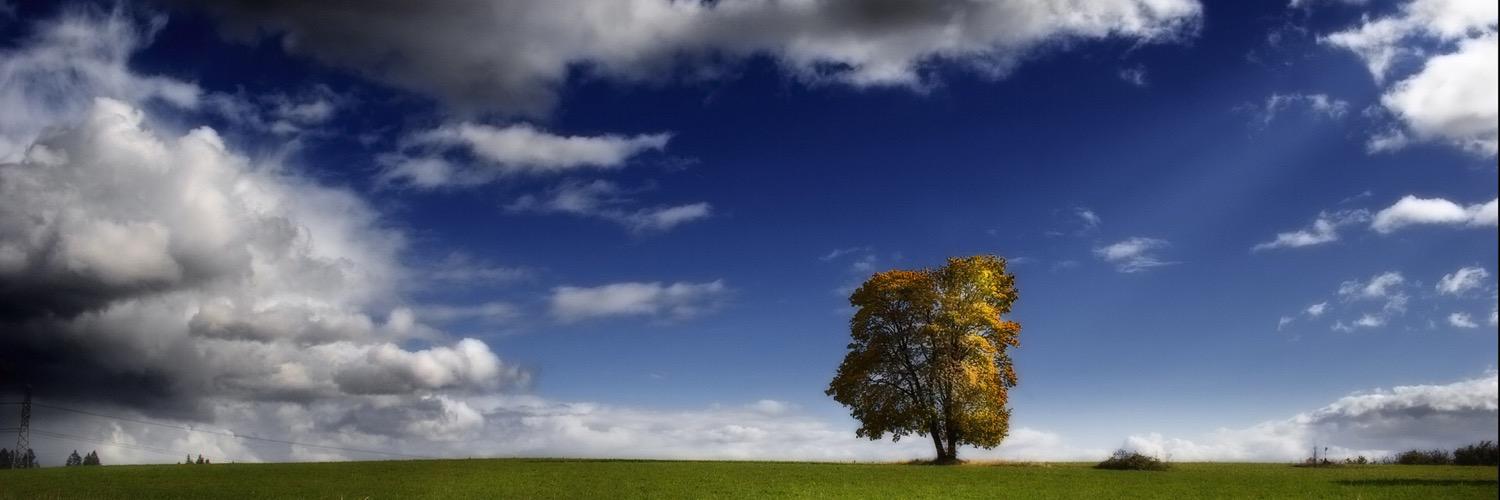 FallsTalon's profile banner image