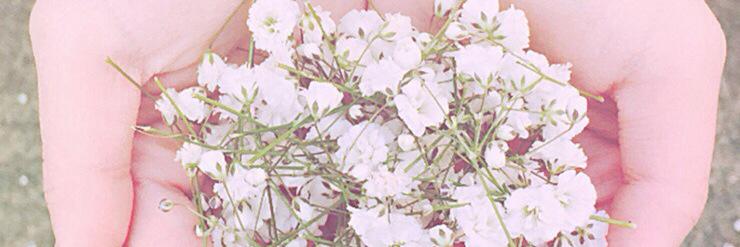 selvierianda's profile banner image