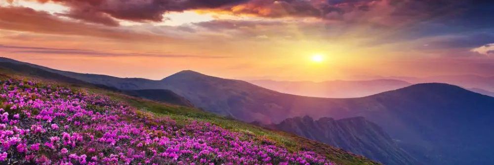 m__faisal02's profile banner image