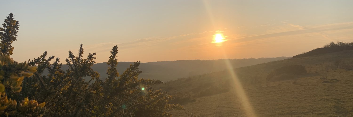 imydavis's profile banner image