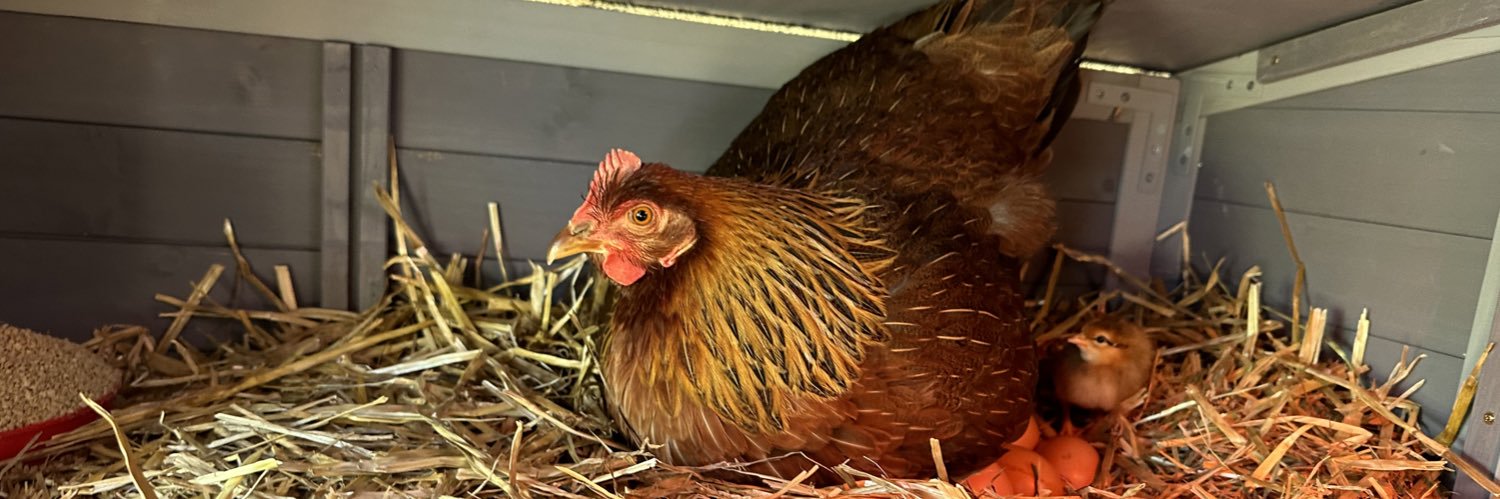 Cliff Stanfill banner