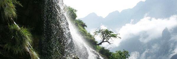 yogasite's profile banner image