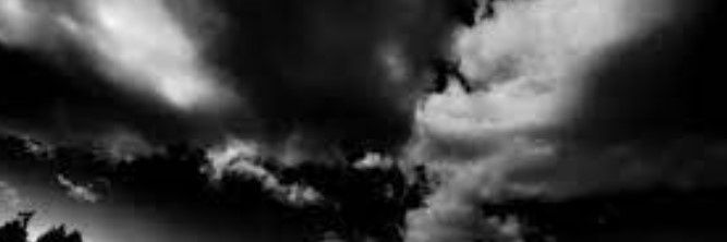 conceitedrr's profile banner image