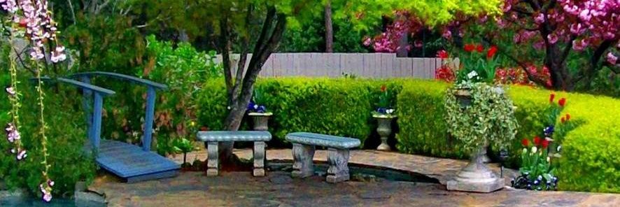 "❤️Memecoin" banner