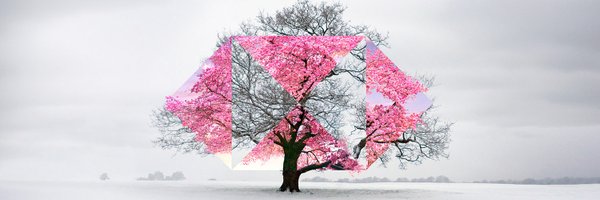HSBC_TR Profile Banner
