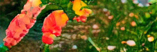 deejaycoll's profile banner image