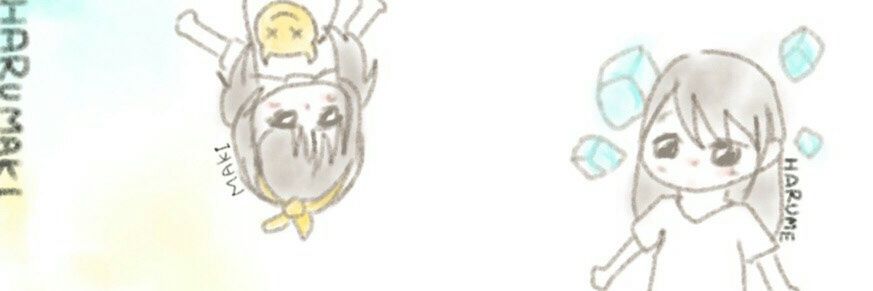 KameKis's profile banner image