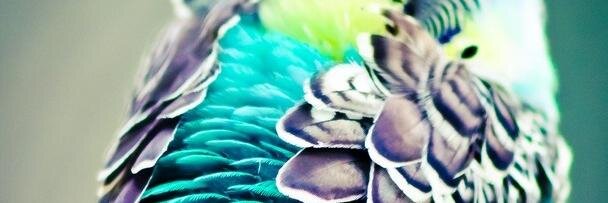 HadiK_'s profile banner image