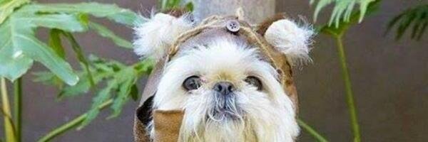 henrytalbot2's profile banner image