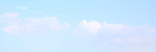onccy Profile Banner