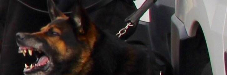 DogruffJohn's profile banner image