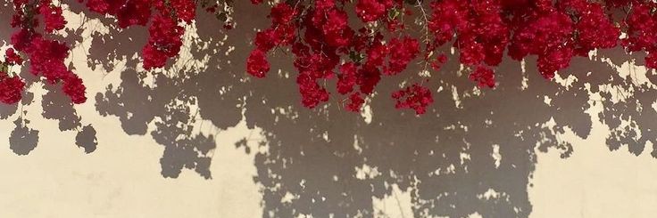 manar__a_'s profile banner image