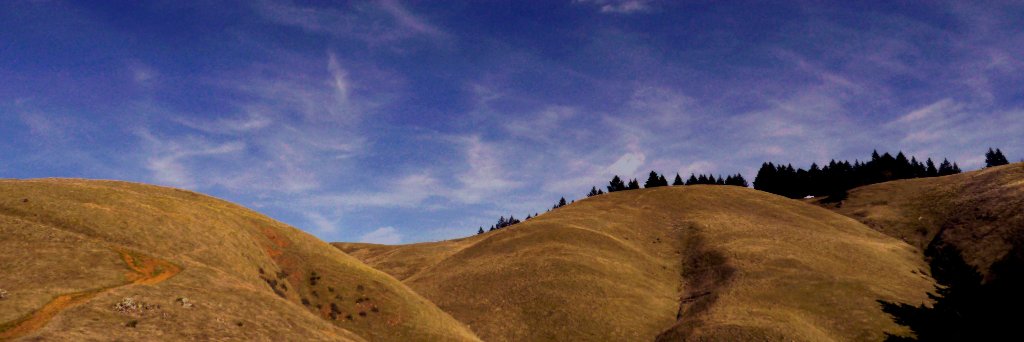 Pditter's profile banner image