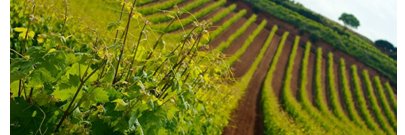 meetandwine's profile banner image