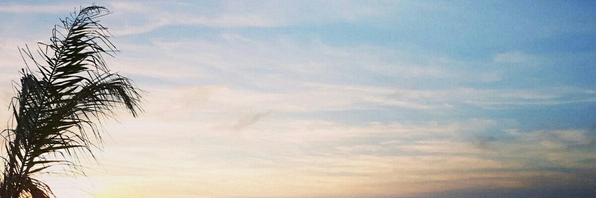 AlejandraRBM's profile banner image
