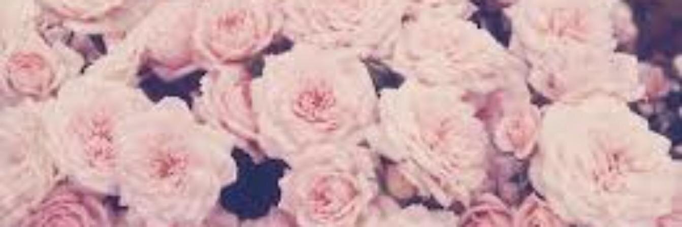 aina banner